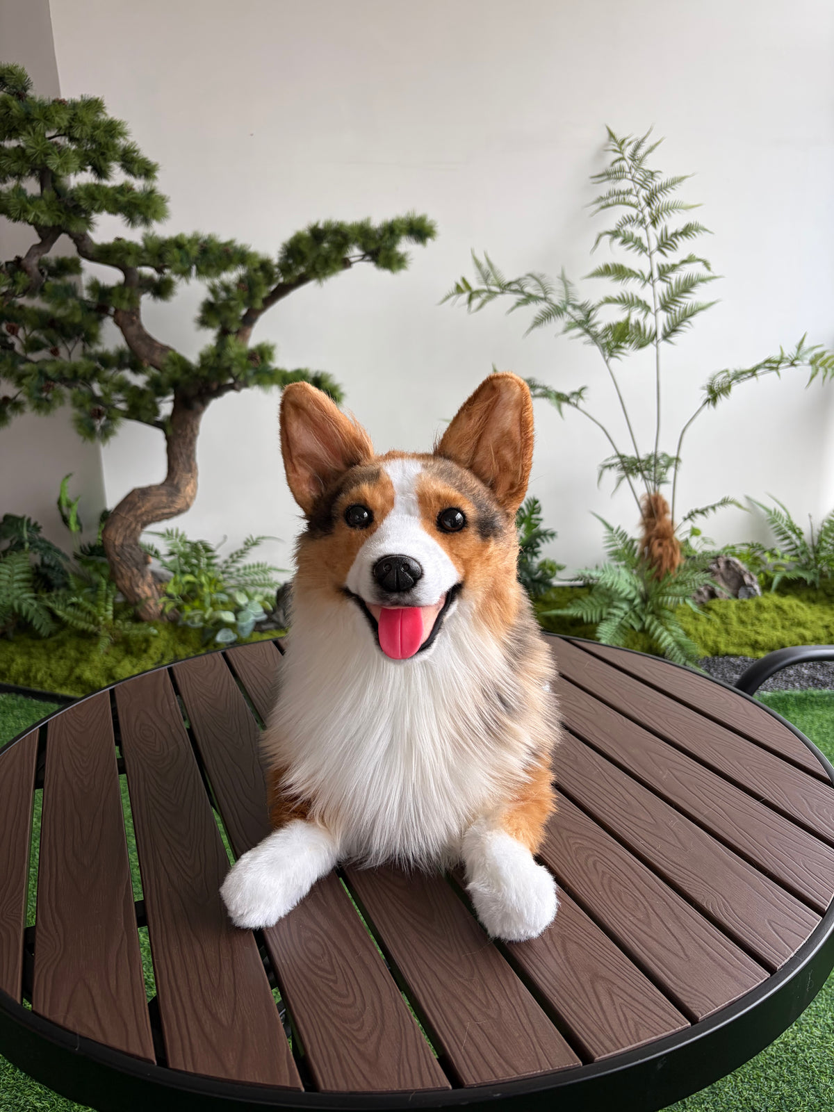 Custom Pet Plush Clone from Photo – Handmade Realistic Pet Replica