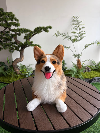 Custom Pet Plush Clone from Photo – Handmade Realistic Pet Replica