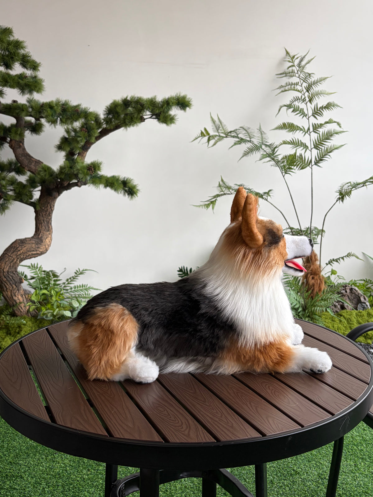 Custom Pet Plush Clone from Photo – Handmade Realistic Pet Replica