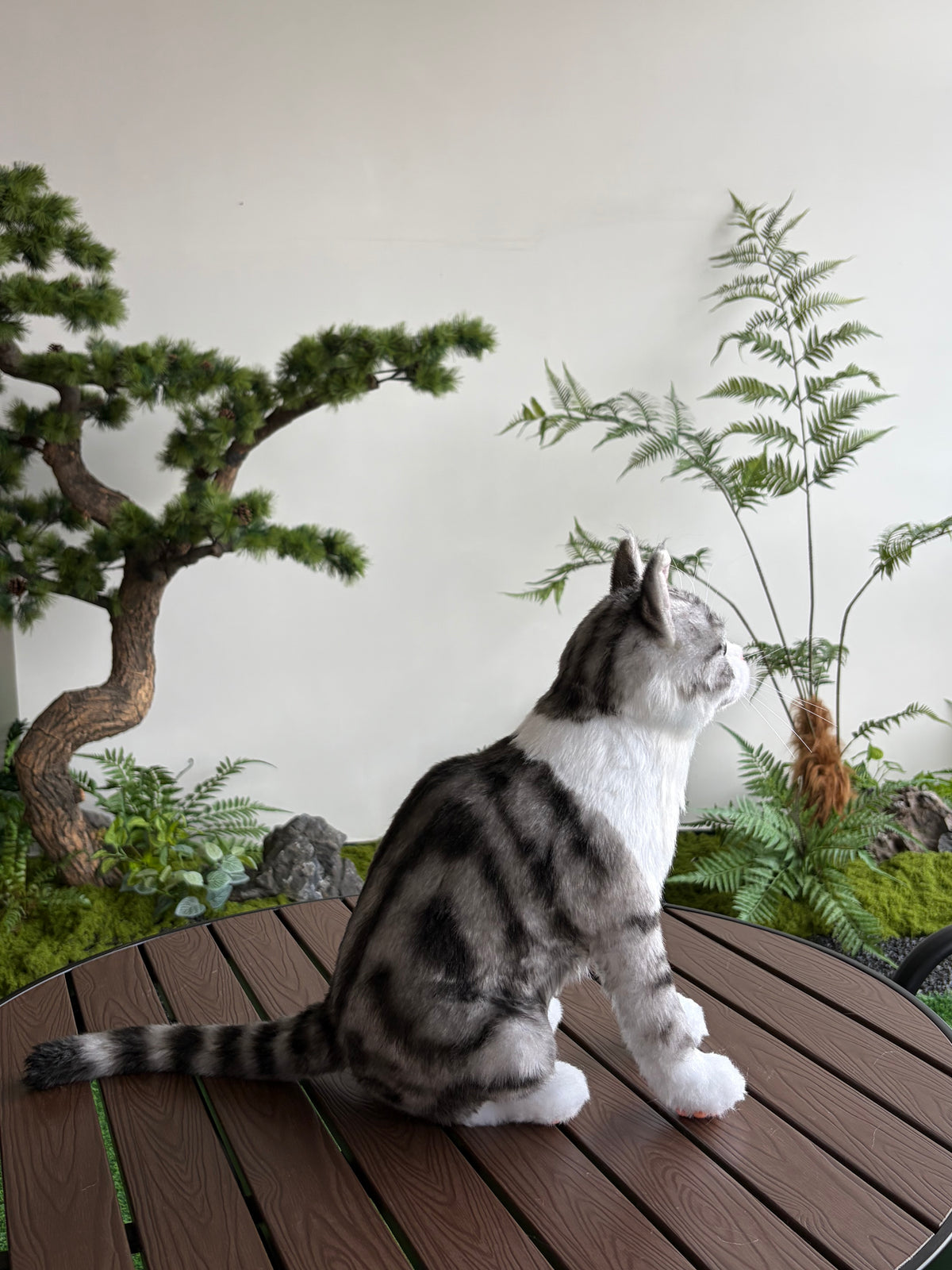 Custom Pet Plush Clone from Photo – Handmade Realistic Pet Replica