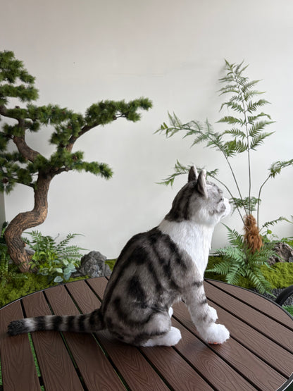 Custom Pet Plush Clone from Photo – Handmade Realistic Pet Replica