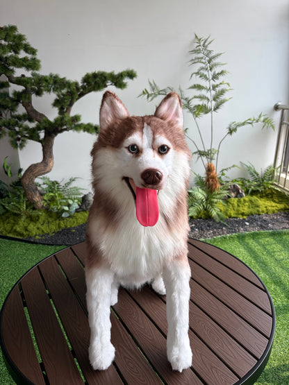 Custom Pet Plush Clone from Photo – Handmade Realistic Pet Replica